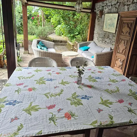55 M2, Sunny Garden & Pool In 1905 Appartement